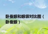卧蚕眼和眼袋对比图（卧蚕眼）