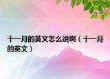 十一月的英文怎么说啊（十一月的英文）