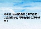 排名前十的拖把品牌（甩干拖把十大品牌排行榜 甩干拖把什么牌子好用）