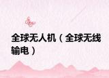 全球无人机（全球无线输电）