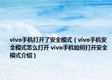 vivo手机打开了安全模式（vivo手机安全模式怎么打开 vivo手机如何打开安全模式介绍）