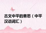 古文中平的意思（中平 汉语词汇）