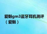 爱魅gm3蓝牙耳机测评（爱魅）