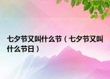 七夕节又叫什么节（七夕节又叫什么节日）