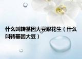 什么叫转基因大豆跟花生（什么叫转基因大豆）