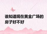 谁知道现在黄金广场的房子好不好