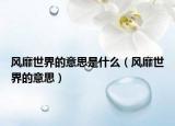 风靡世界的意思是什么（风靡世界的意思）