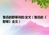 鲁迅的野草诗的:全文（鲁迅的《野草》全文）