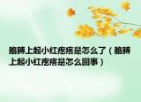 胳膊上起小红疙瘩是怎么了（胳膊上起小红疙瘩是怎么回事）
