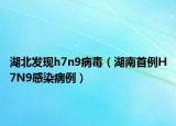 湖北发现h7n9病毒（湖南首例H7N9感染病例）