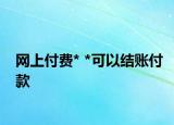 网上付费* *可以结账付款