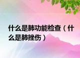 什么是肺功能检查（什么是肺挫伤）