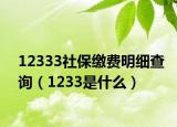 12333社保缴费明细查询（1233是什么）