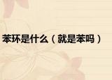 苯环是什么（就是苯吗）