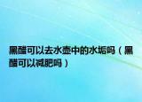 黑醋可以去水壶中的水垢吗（黑醋可以减肥吗）
