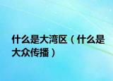 什么是大湾区（什么是大众传播）