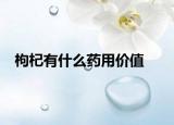 枸杞有什么药用价值