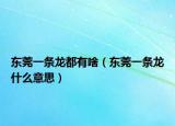东莞一条龙都有啥（东莞一条龙什么意思）