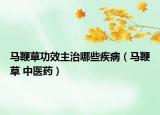 马鞭草功效主治哪些疾病（马鞭草 中医药）