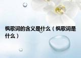 枫歌词的含义是什么（枫歌词是什么）