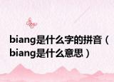 biang是什么字的拼音（biang是什么意思）