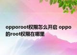 opporoot权限怎么开启 oppo的root权限在哪里