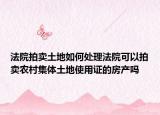 法院拍卖土地如何处理法院可以拍卖农村集体土地使用证的房产吗