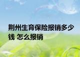 荆州生育保险报销多少钱 怎么报销