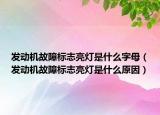 发动机故障标志亮灯是什么字母（发动机故障标志亮灯是什么原因）