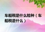 车船税是什么险种（车船税是什么）