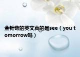 金针菇的英文真的是see（you tomorrow吗）