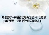 劝君更尽一杯酒西出阳关无故人什么意思（劝君更尽一杯酒 西出阳关无故人）