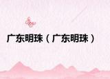 广东明珠（广东明珠）