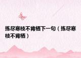 拣尽寒枝不肯栖下一句（拣尽寒枝不肯栖）