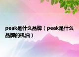peak是什么品牌（peak是什么品牌的机油）
