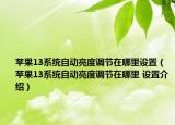 苹果13系统自动亮度调节在哪里设置（苹果13系统自动亮度调节在哪里 设置介绍）