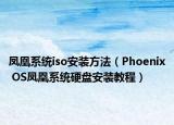 凤凰系统iso安装方法（Phoenix OS凤凰系统硬盘安装教程）