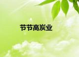 节节高炭业