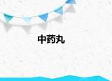 中药丸