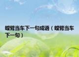 螳臂当车下一句成语（螳臂当车下一句）