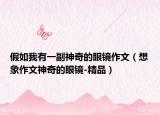 假如我有一副神奇的眼镜作文（想象作文神奇的眼镜-精品）
