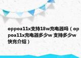 oppoa11x支持18w充电器吗（oppoa11x充电器多少w 支持多少w快充介绍）