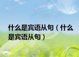 什么是宾语从句（什么是宾语从句）