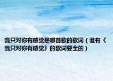 我只对你有感觉是哪首歌的歌词（谁有《我只对你有感觉》的歌词要全的）
