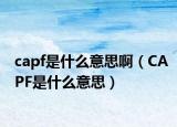 capf是什么意思啊（CAPF是什么意思）