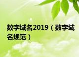 数字域名2019（数字域名规范）