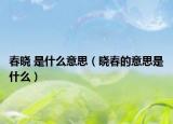 春晓 是什么意思（晓春的意思是什么）