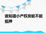 谁知道小产权房能不能抵押