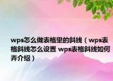 wps怎么做表格里的斜线（wps表格斜线怎么设置 wps表格斜线如何弄介绍）