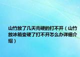 山竹放了几天壳硬的打不开（山竹放冰箱变硬了打不开怎么办详细介绍）